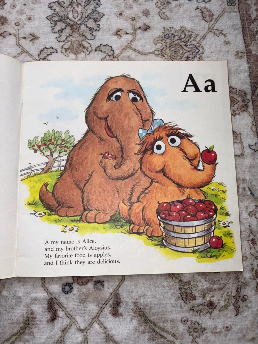 Vintage 1983 Sesame Street “A My Name Is Alice Alphabet Book”